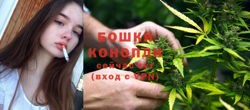 купить  цена  Артёмовский  Бошки марихуана SATIVA & INDICA 